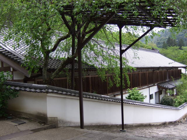 長谷寺の写真の写真