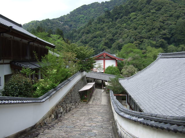 長谷寺の写真の写真