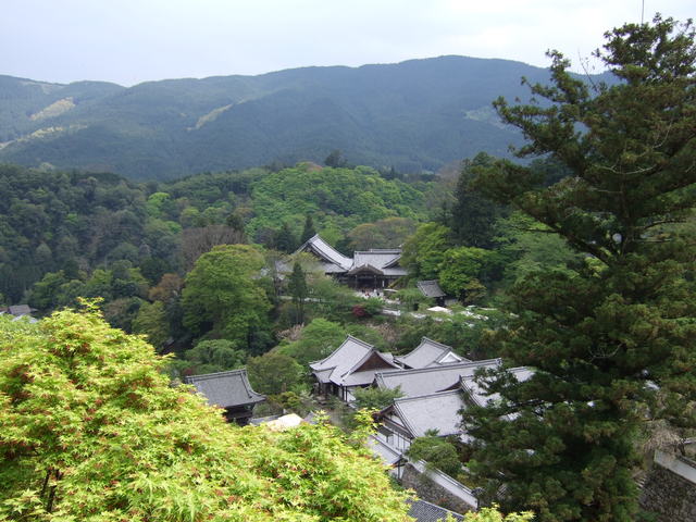 長谷寺の写真の写真