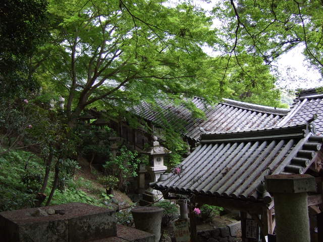 長谷寺の写真の写真