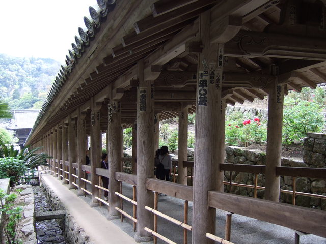 長谷寺の写真の写真