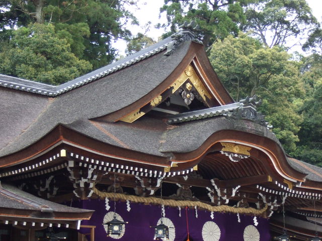 大神神社・拝殿の屋根の写真の写真