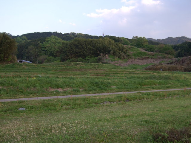 特別史跡・山田寺跡・境内から中門の方向を見るの写真の写真