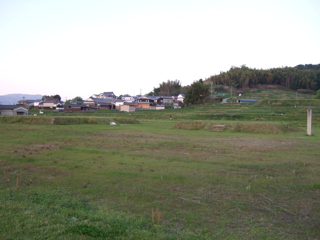特別史跡・山田寺跡の写真の写真
