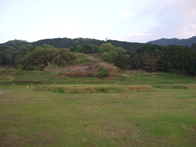 特別史跡・山田寺跡・金堂跡と山の写真の写真