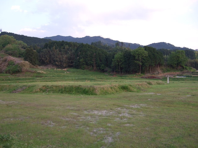 特別史跡・山田寺跡・金堂跡(手前)と塔跡(奥ｊ)の写真の写真