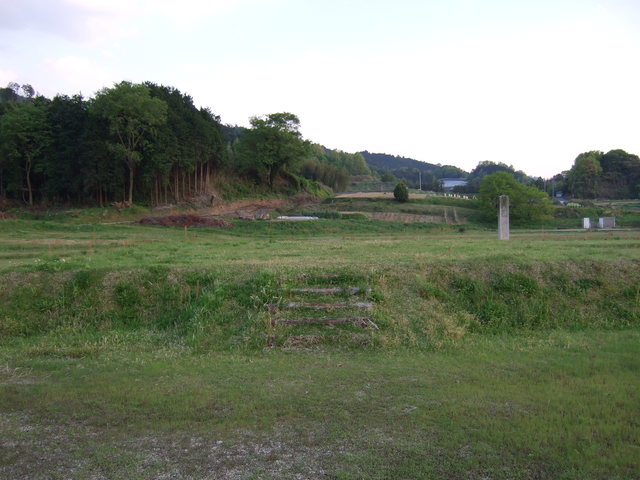 特別史跡・山田寺跡・金堂跡の写真の写真