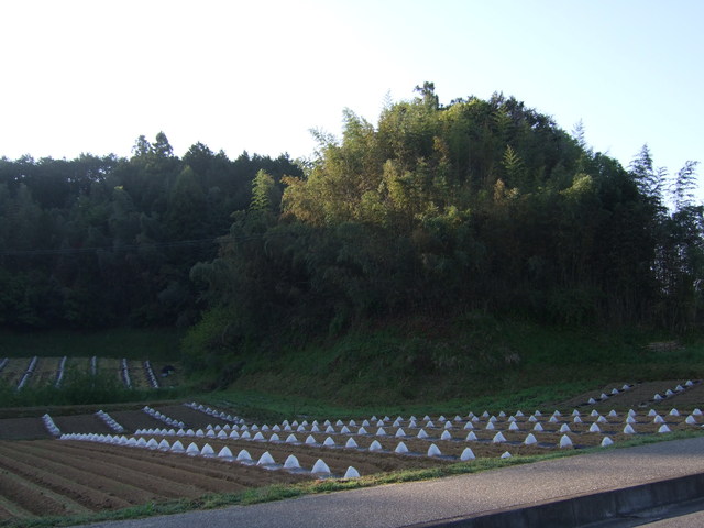 キトラ古墳の周辺の景色の写真の写真