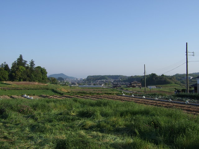 飛鳥６の写真の写真