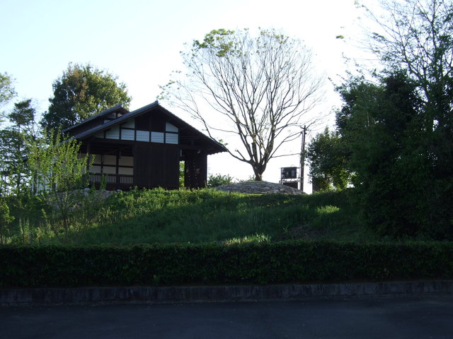 飛鳥３の写真の写真