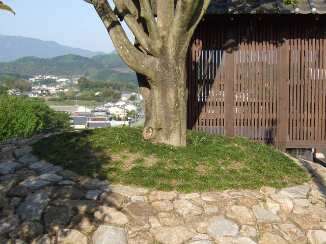 国営飛鳥歴史公園３の写真の写真