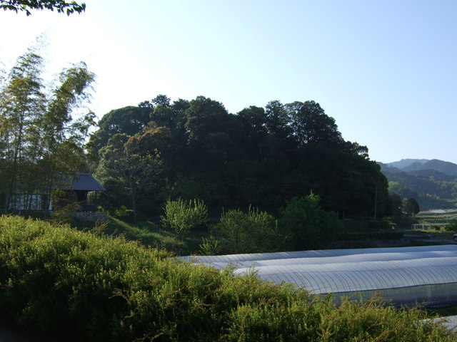 飛鳥・文武天皇陵の写真の写真