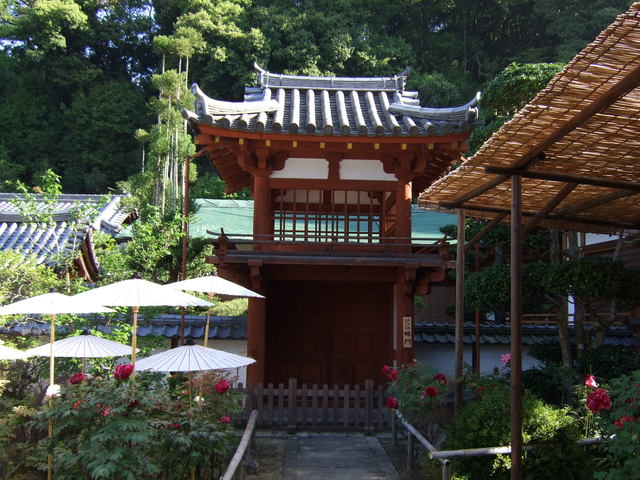 岡寺・楼門の写真の写真