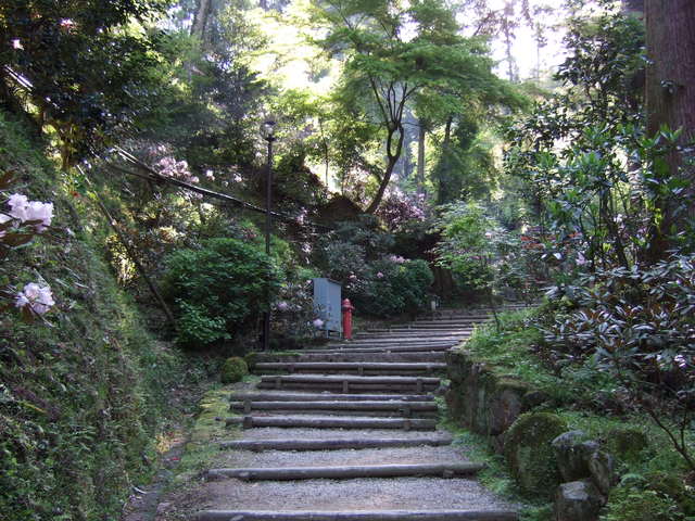 岡寺３の写真の写真