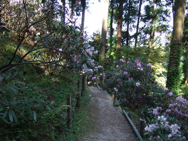 岡寺１の写真の写真