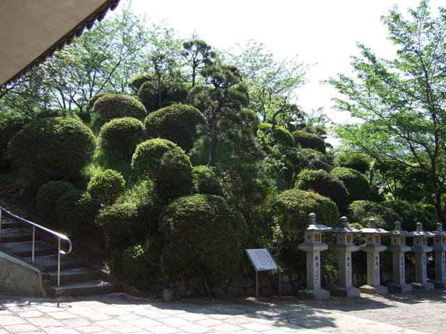 特別史跡・文殊院西古墳・古墳の周囲は木が植わるの写真の写真