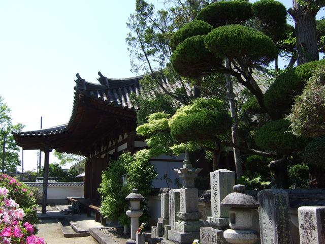 瑞花院本堂の写真の写真