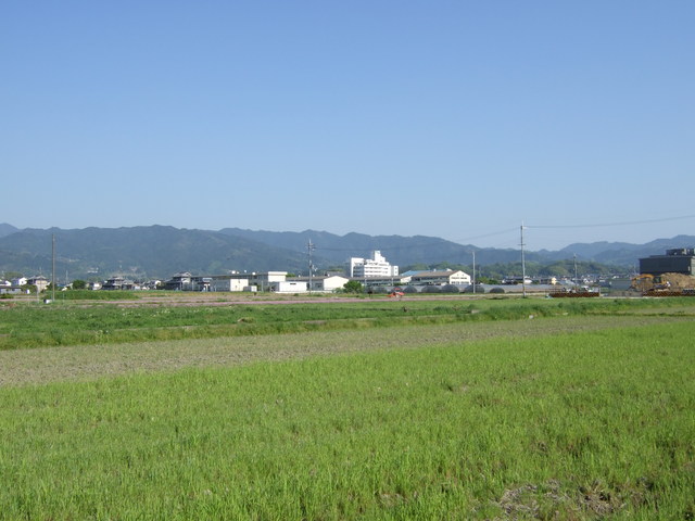 特別史跡・本薬師寺跡・休耕田となった本薬師寺跡の写真の写真