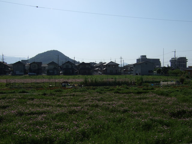 特別史跡・本薬師寺跡・金堂跡から見る畝傍山の写真の写真