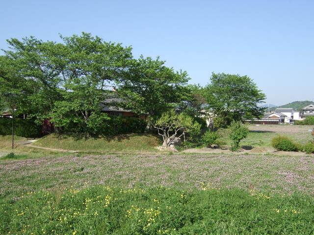 特別史跡・本薬師寺跡・今は住宅が経つ金堂跡の写真の写真