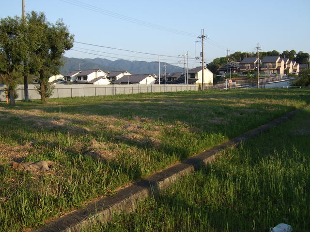 史跡・藤原京朱雀大路跡７の写真の写真