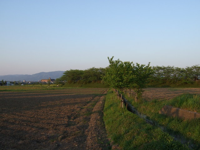 特別史跡・藤原宮跡５の写真の写真