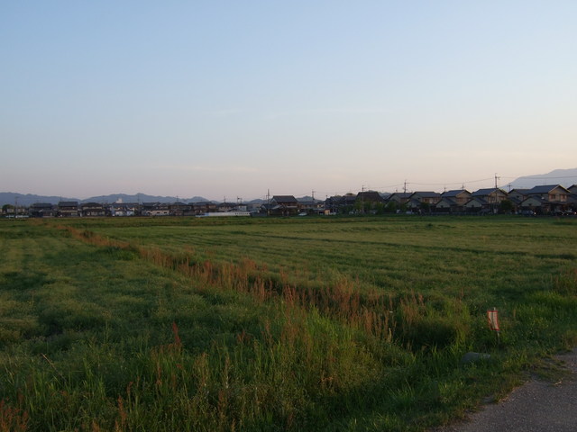 特別史跡・藤原宮跡１８の写真の写真