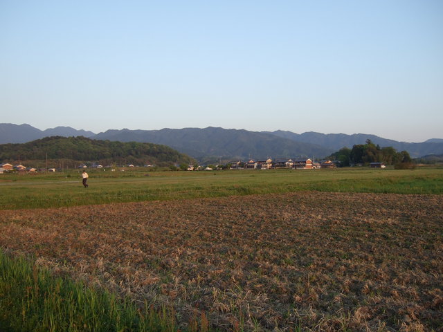 特別史跡・藤原宮跡２３の写真の写真