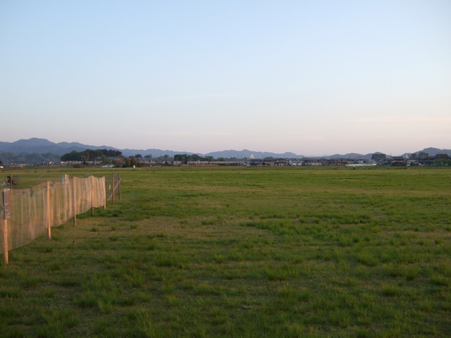 特別史跡・藤原宮跡３５の写真の写真