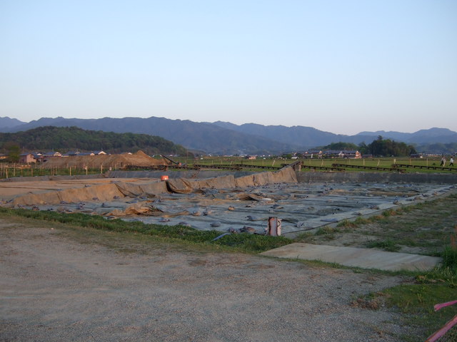 特別史跡・藤原宮跡４０の写真の写真