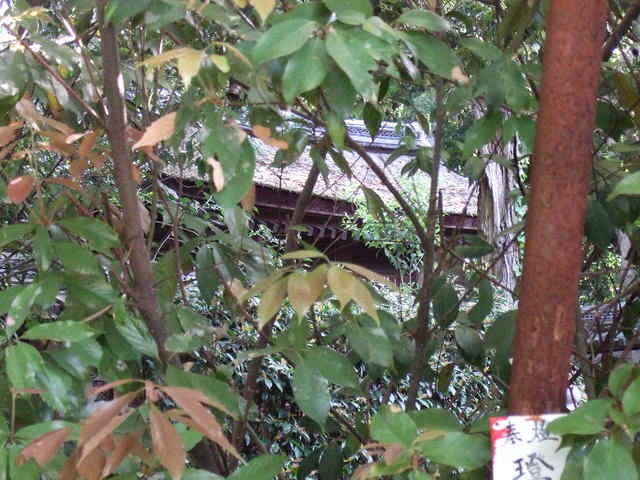 unknownの写真の写真