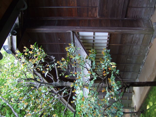 unknownの写真の写真