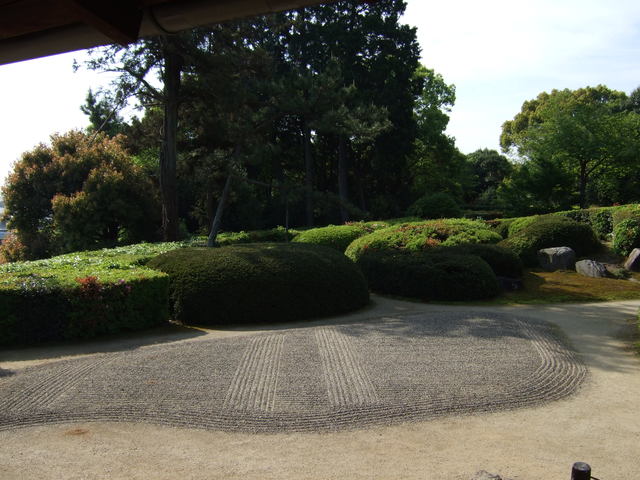 unknownの写真の写真