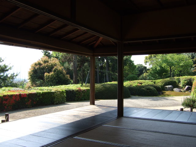 unknownの写真の写真