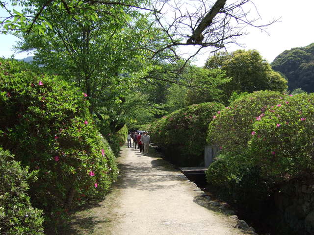 unknownの写真の写真