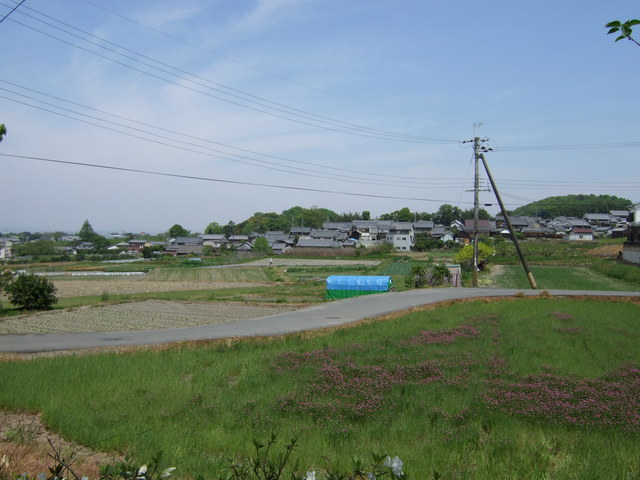 長岳寺付近の景色の写真の写真