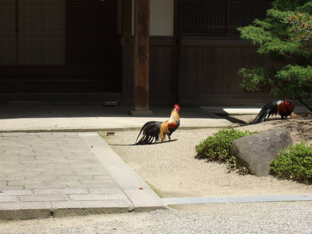 unknownの写真の写真