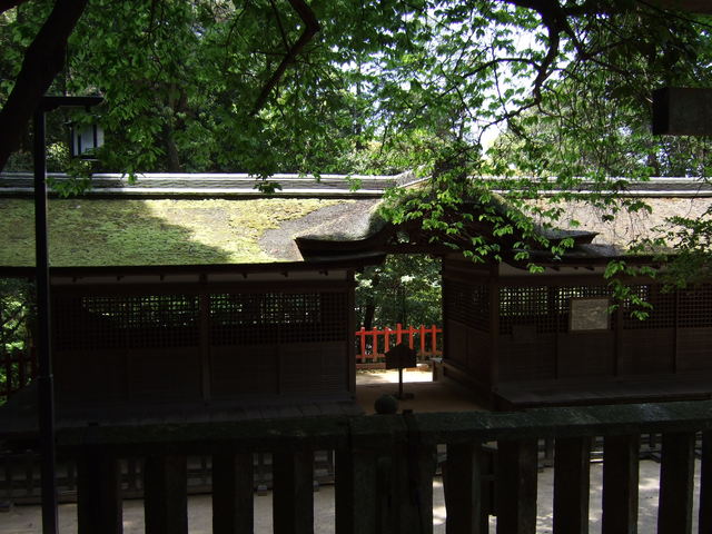 unknownの写真の写真