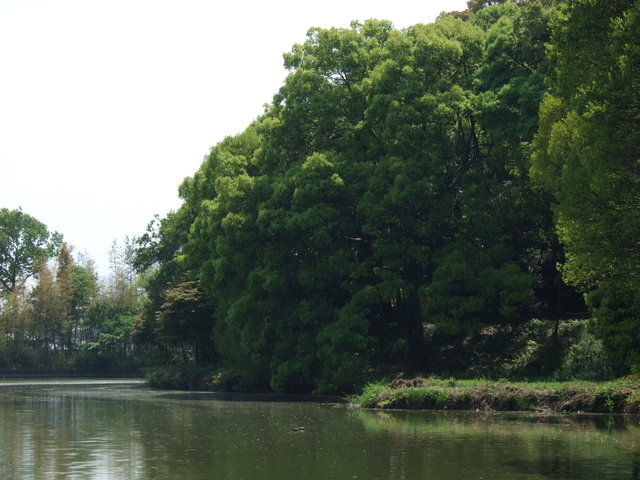 特別史跡・巣山古墳１４の写真の写真