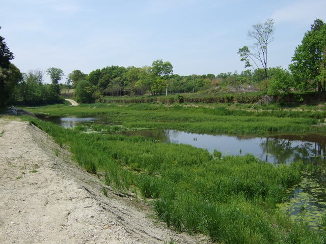 特別史跡・巣山古墳１２の写真の写真