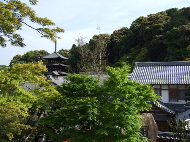 當麻寺・中之坊１の写真の写真