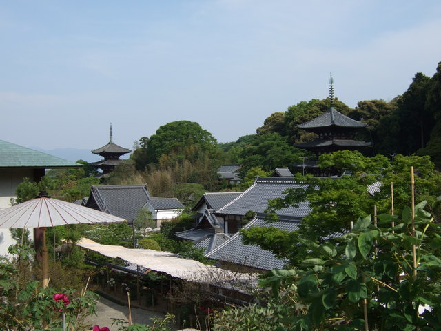 當麻寺中之坊の境内の写真の写真