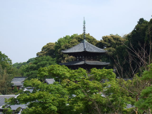 當麻寺中之坊・三重塔西塔の写真の写真