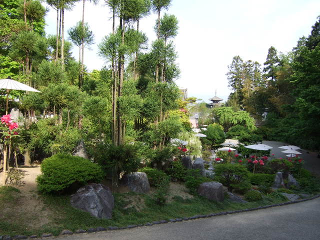 當麻寺奥院・浄土庭園３の写真の写真