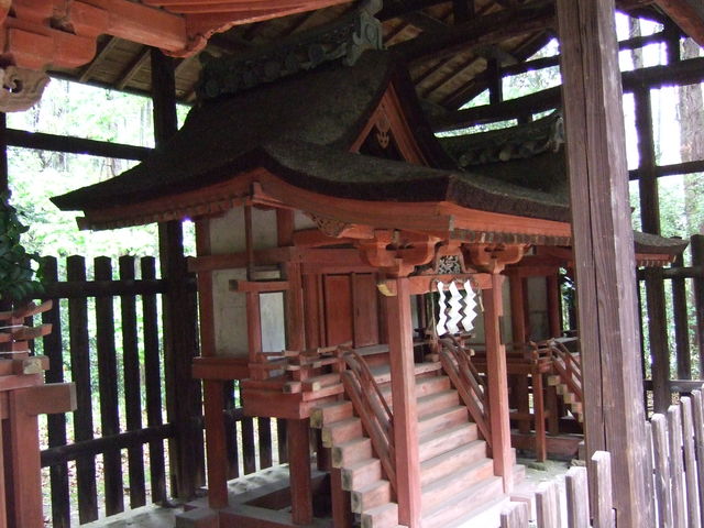 重要文化財・十六所神社境内社住吉神社本殿の写真の写真