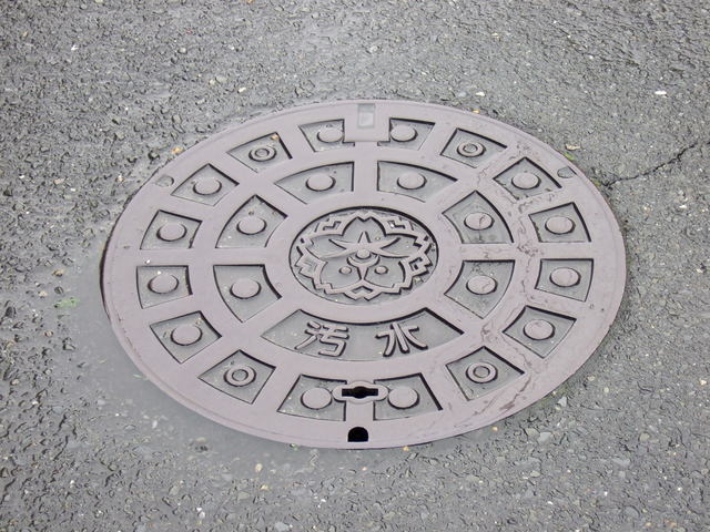 奈良市のマンホールの写真の写真