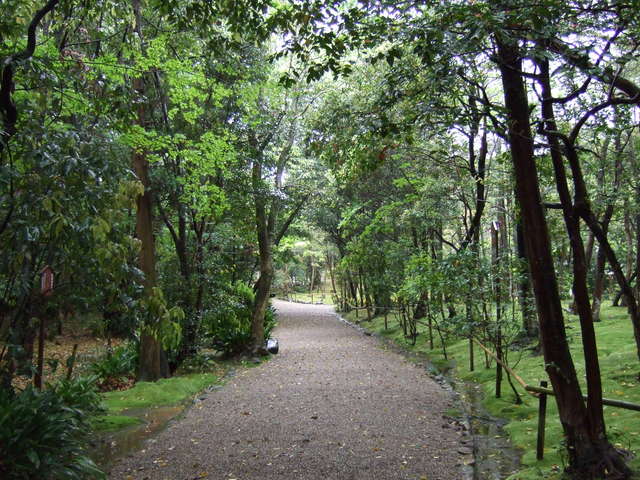秋篠寺・参道２の写真の写真