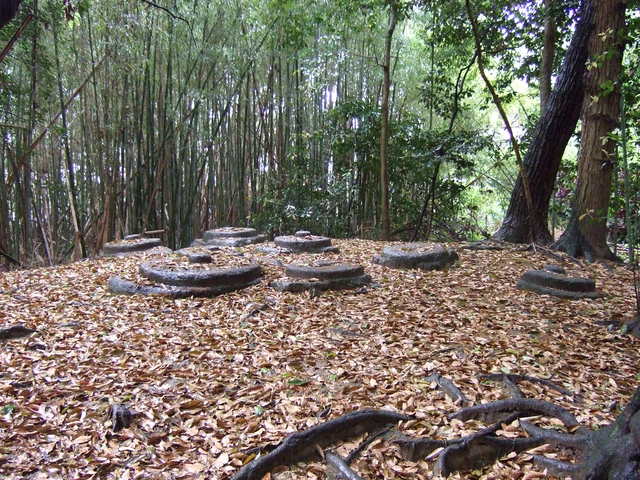 秋篠寺・東塔の礎石の写真の写真