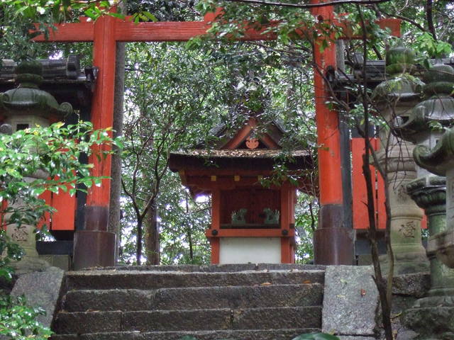 unknownの写真の写真