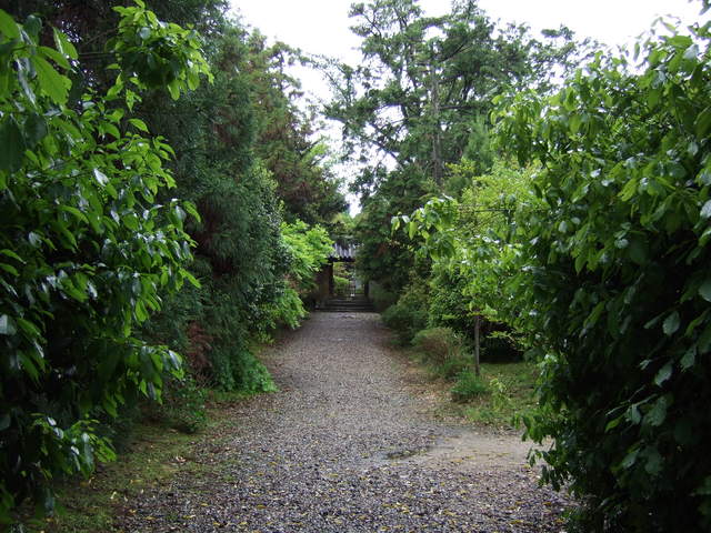 海龍王寺・参道の写真の写真